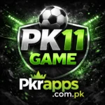 PK11 Game