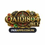 QAIDI804 Game