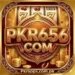 Pkr656 Game Download